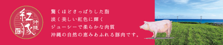 おきなわ紅豚は驚くほどさっぱりとした脂で、淡く美しい紅色に輝くジューシーで柔らかな肉質です。詳細はこちら