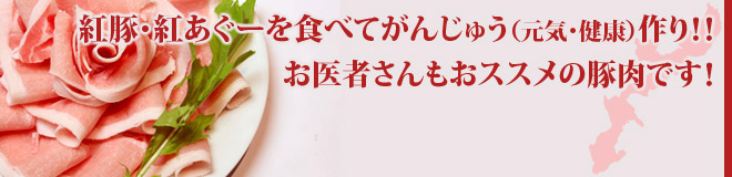 健康ブログトップ