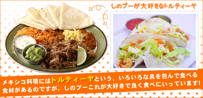 トルティーヤ料理