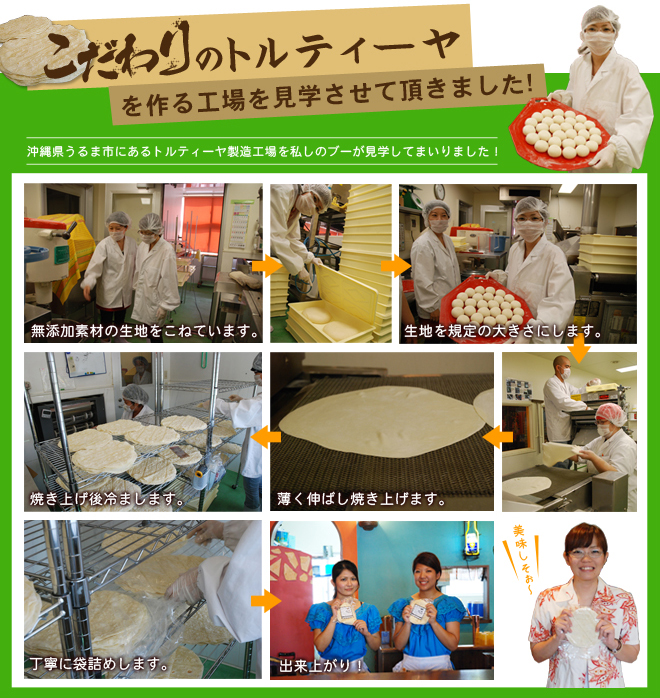 トルティーヤ工場見学