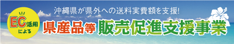沖縄県が県外への送料実費額を支援!EC活用による県産品等販売促進支援事業