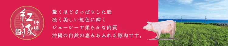おきなわ紅豚は驚くほどさっぱりとした脂と淡く美しい紅色に輝くジューシーで柔らかな肉質が特徴の豚肉です。詳細はこちら