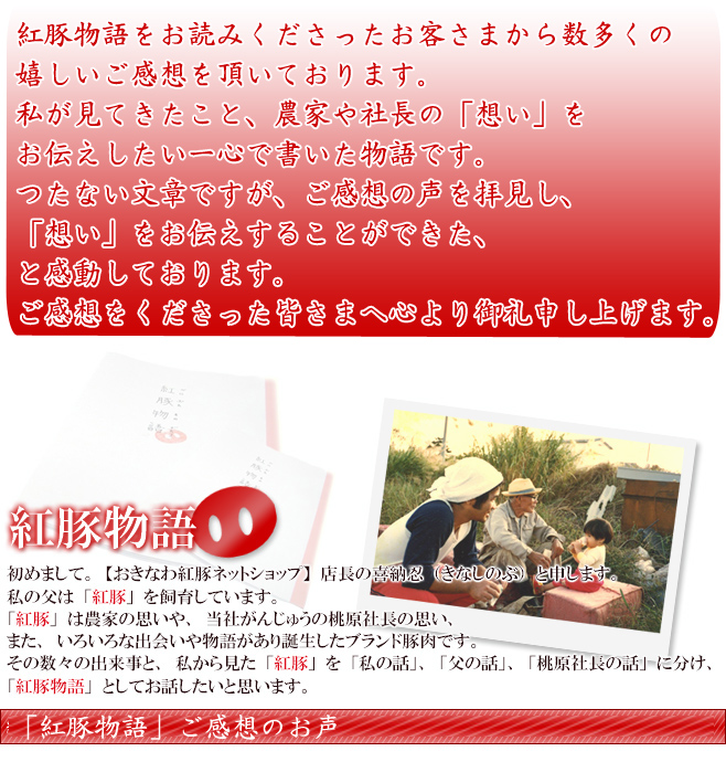 紅豚物語をお読み頂いたご感想をいただきました。