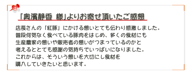 紅豚物語ご感想2