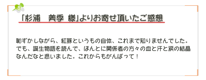 紅豚物語ご感想5