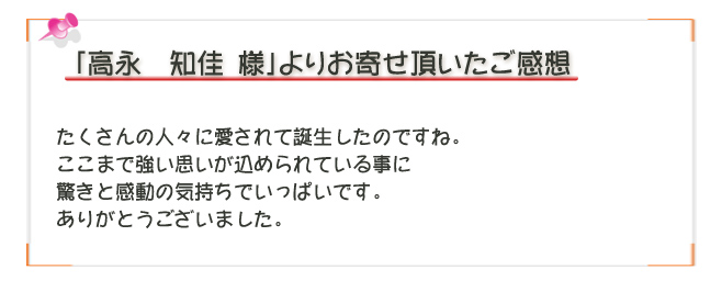紅豚物語ご感想6