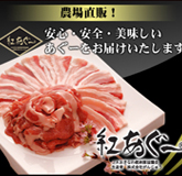 紅あぐー