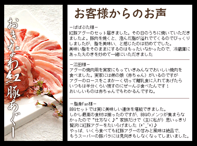 紅豚あぐーお客さまの声